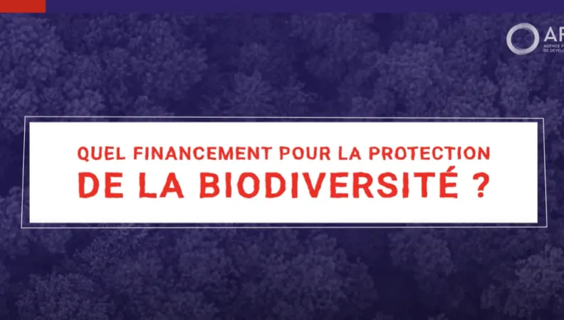 Quelles solutions pour le financement de la biodiversité 